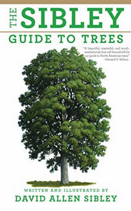 Sibley Guide to Trees - David Allen Sibley (Knopf) 【紙書籍】 9780375415197