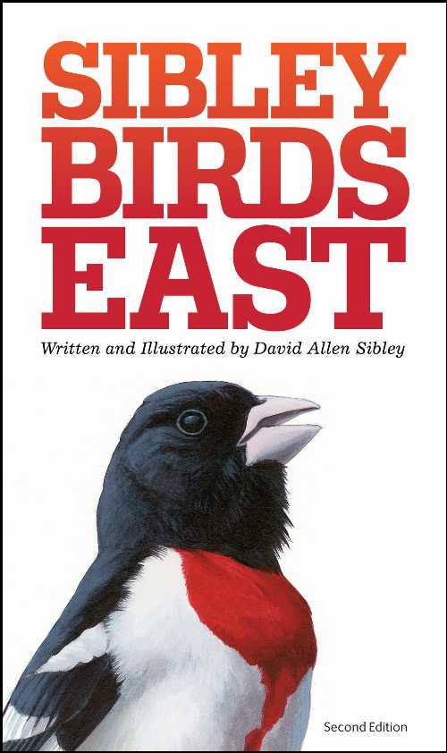 The Sibley Field Guide to Birds of Eastern North America - David Allen Sibley (Knopf)  9780307957917