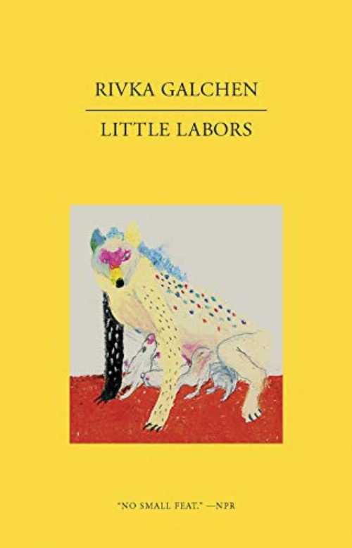Little Labors - Rivka Galchen (New Directions)  9780811222969