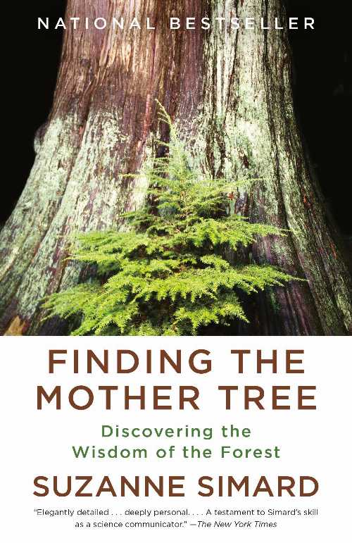 Finding the Mother Tree - Suzanne Simard (Vintage) 【紙書籍】 9780525565994