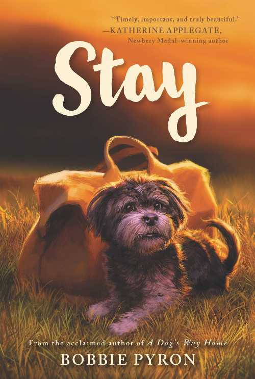 Rakuten - Stay - Bobbie Pyron (Katherine Tegen Books) 【紙書籍】 9780062839237