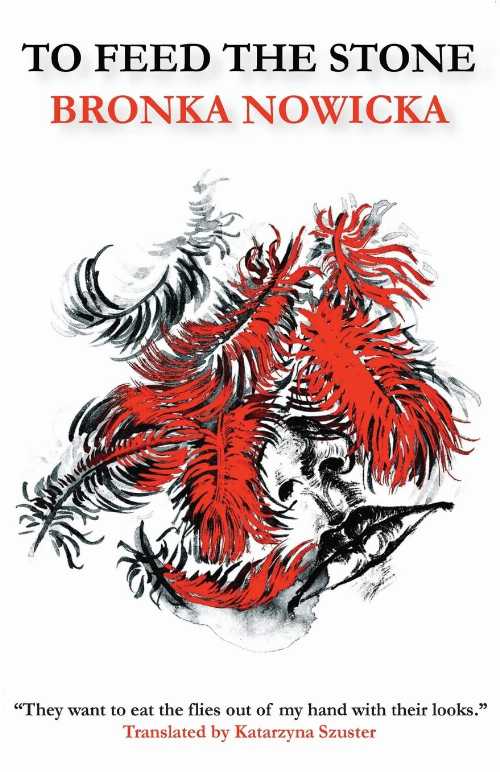 To Feed the Stone - Bronka Nowicka (Dalkey Archive Press)  9781628973723