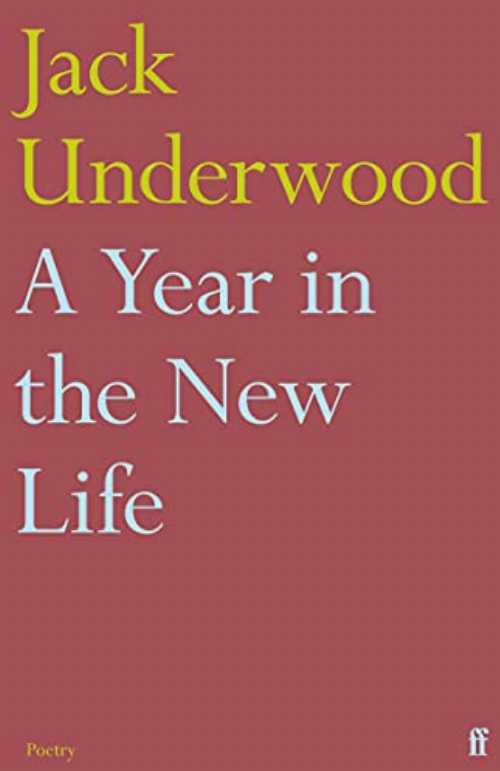 Year in the New Life - Jack Underwood (Faber & Faber)  9780571367252