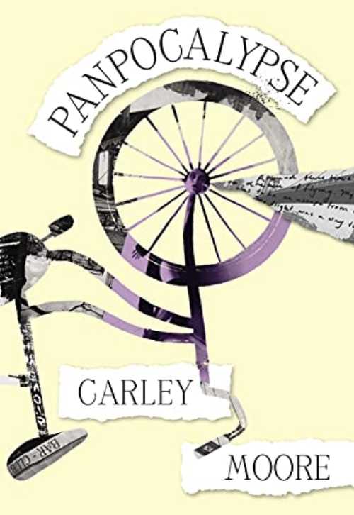 Panpocalypse - Carley Moore (Amethyst Editions)  9781952177606