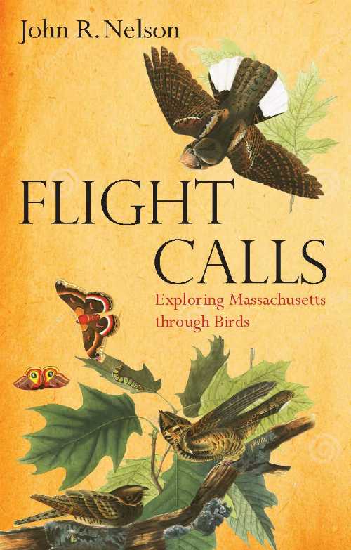 【古本】 Flight Calls: Exploring Massachusetts Through Birds - John R Nelson (Bright Leaf) 【紙書籍】 9781625344700