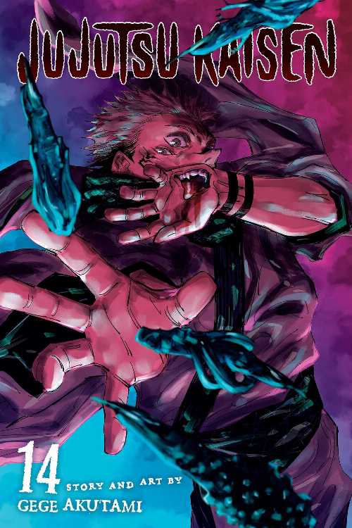 乐天商城 - Jujutsu Kaisen, Vol. 14 - Gege Akutami (VIZ Media LLC) 【紙書籍】 9781974725328