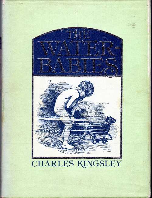  The Water Babies - Charles Kingsley; Linley Sambourne (Mayflower)  0831793503