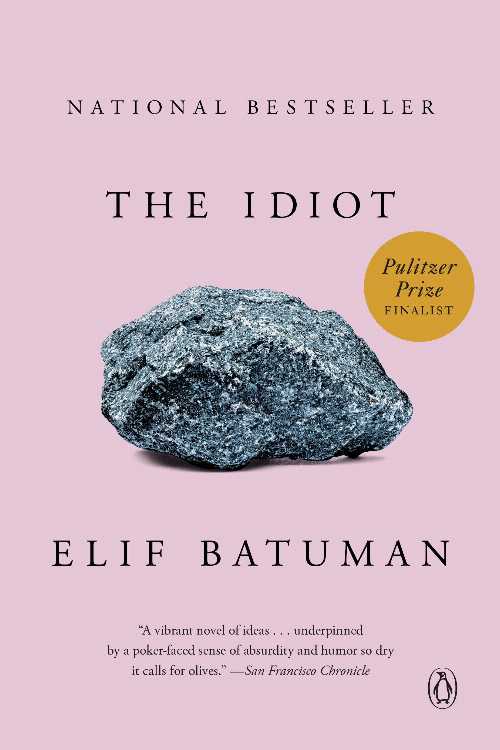 The Idiot - Elif Batuman (Penguin Books)  9780143111061