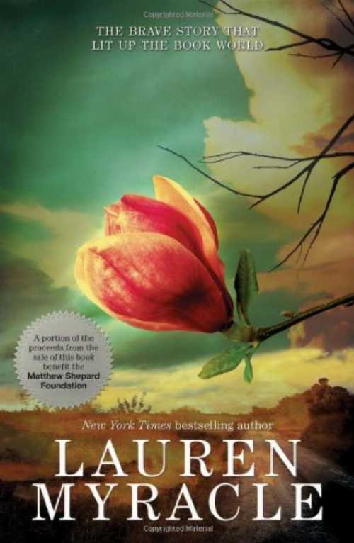  Shine - Lauren Myracle (Amulet Paperbacks)  9781419701849