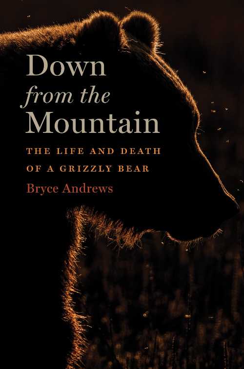 【古本】 Down from the Mountain: The Life and Death of a Grizzly Bear - Bryce Andrews (Mariner Books) 【紙書籍】 9781328972453