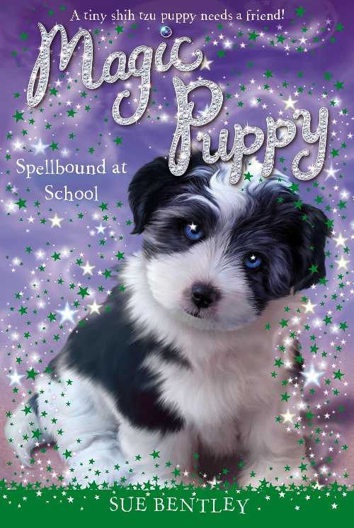 【古本】 Spellbound at School - Sue Bentley (Grosset & Dunlap) 【紙書籍】 9780448467900
