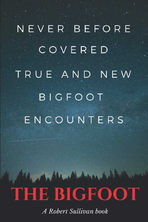  TRUE AND NEW Bigfoot Encounters: Never before covered encounters - Robert Sullivan (Independently published)  9781980434177