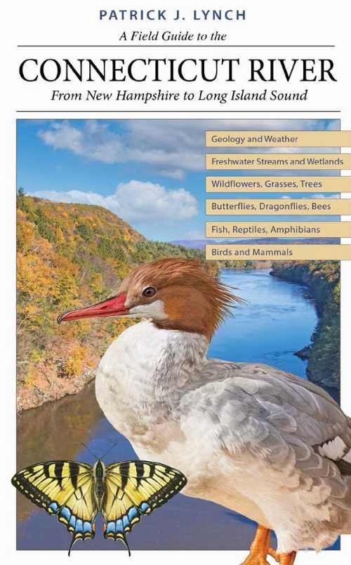 タイトル: Field Guide to the Connecticut River: From New Hampshire to Long Island Sound著者: Patrick J Lynch出版社: Yale University Press出版日: 2024年04月23日新しい本新古品・未使用品。出版社からの新着。The first comprehensive natural history guide to the Connecticut River and its environs, with more than 750 illustrations The Connecticut River, New England's longest and most historic river, originates in northern New Hampshire and wends more than four hundred miles to Long Island Sound. It forms the border between Vermont and New Hampshire and widens significantly as it makes its way through Massachusetts and Connecticut. The Connecticut River Valley is one of the most popular tourist destinations in the eastern United States, and more than two million people live in the watershed. Renowned naturalist Patrick J. Lynch offers readers an expansive guide to this majestic region with more than 750 original maps, photographs, and illustrations. Organized around environments rather than particular locations, the book includes geological overviews and descriptions of common plants and animals. Lynch also explains the landscape's environmental history as well as the effects of centuries of human interventions and the growing fallout from climate change. This indispensable guide not only brings the Connecticut River's ecology and pivotal role in American history to life but instills a deeper appreciation for the river's diverse and abundant beauty.当店利用時のご注意・当店の商品は原則として、「個人輸入」としての取り扱いになり、アメリカ合衆国から直接お客様のもとへお届けいたします。商品の配送手続きのために、アメリカ合衆国の事業者へお客様の注文情報が提供されます。注文情報の提供について同意いただいた上でご注文ください。アメリカ合衆国の個人情報保護法制等について確認する場合は、こちらのページ「https://corp.rakuten.co.jp/privacy/data-transfers.html」をご参照ください。・関税・輸入消費税が課税される場合があります。・課税額はご注文時には確定しておらず、通関時に確定しますので、商品の受け取り時に着払いでお支払いください。・個人輸入される商品は、全てご注文者自身の「個人使用・個人消費（日本に居住する者に寄贈される物で、当該寄贈を受ける者の個人的な使用に供される場合を含みます。）」が前提となります。第三者への譲渡・転売が法令で禁止されるもの（医薬品、医薬部外品、化粧品等を含みますが、これに限られません。）もございますのでご注意下さい。・商品お届けまでに、10日間程度かかります。