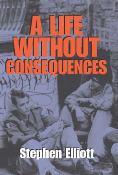  Life Without Consequences - Stephen Elliott (Macadam Cage Pub)  9781931561198