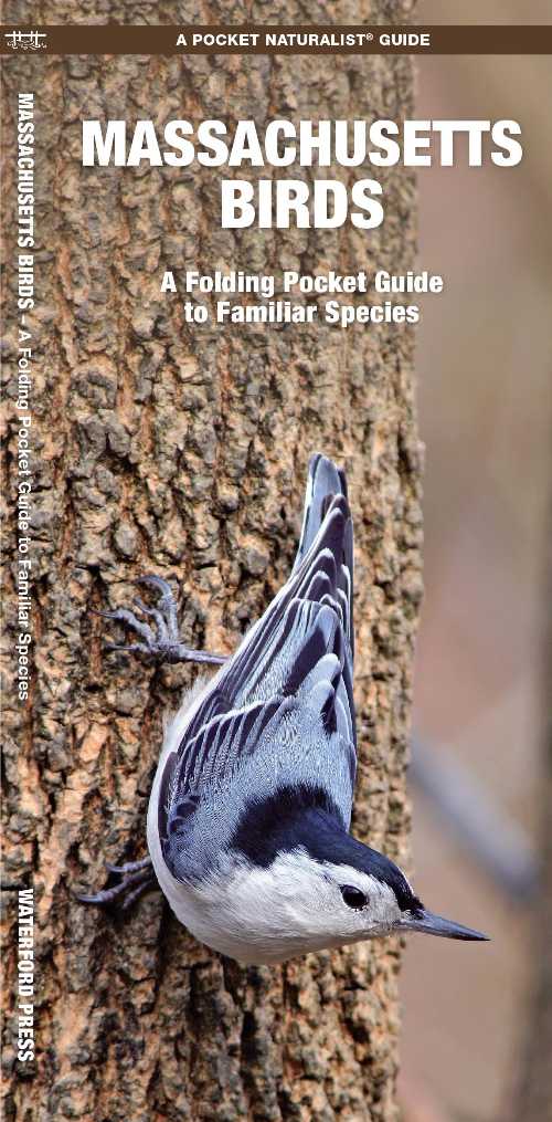 乐天商城 - Massachusetts Birds - James; Waterford Press Waterford Press; Leung Raymond Leung Raymond Kavanagh Waterford Press (Waterford Press) 【紙書籍】 9781583551523