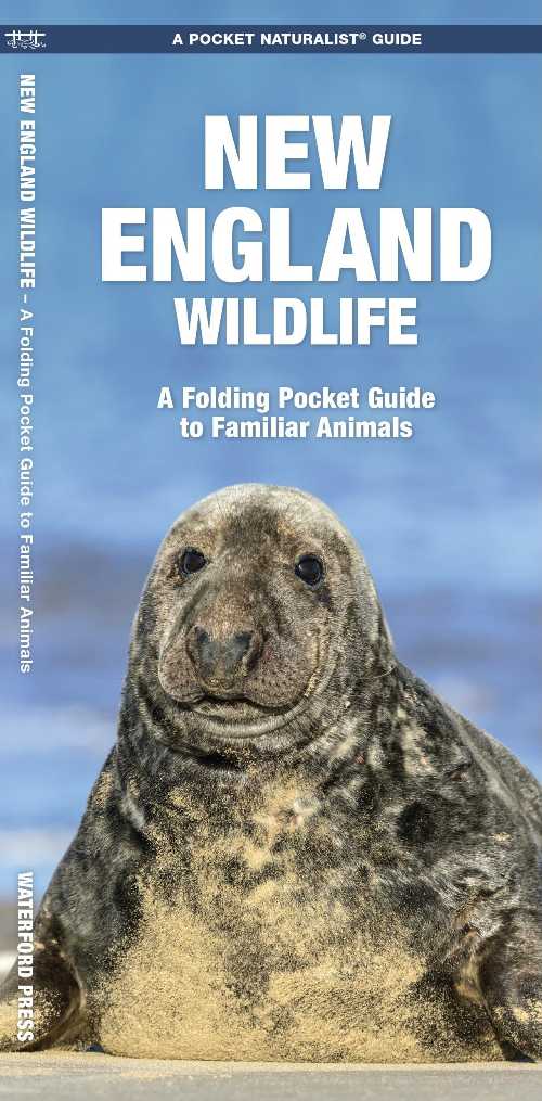 New England Wildlife: A Folding Pocket Guide to Familiar Animals - James Kavanagh (Waterford Press) 【紙書籍】 9781583551738