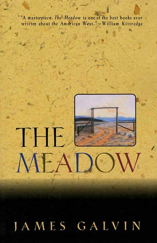  Meadow - James Galvin (Holt Paperbacks)  9780805027037
