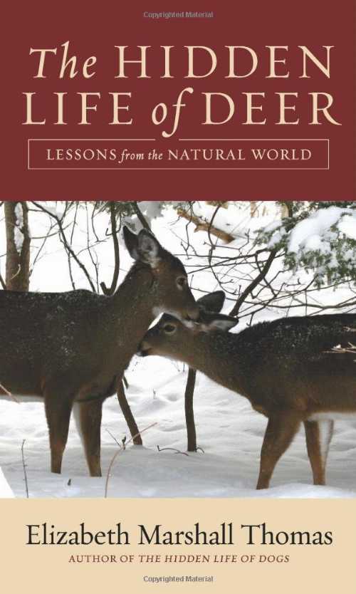 Rakuten - 【古本】 Hidden Life of Deer: Lessons from the Natural World - Elizabeth Marshall Thomas (Harper) 【紙書籍】 9780061792106