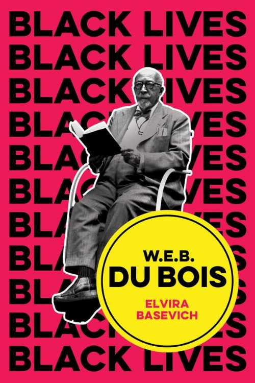 【古本】 W.E.B. Du Bois: The Lost and the Found - Elvira Basevich (Polity) 【紙書籍】 9781509535743