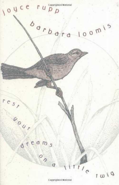  Rest Your Dreams on a Little Twig - Joyce Rupp Osm (Sorin Books)  9781893732575