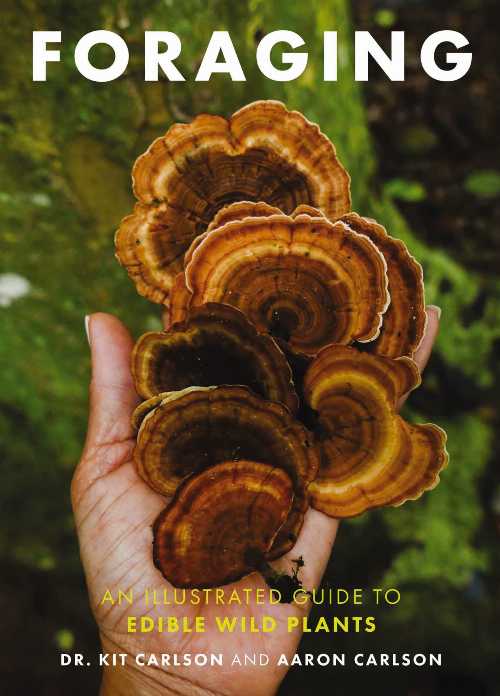 【古本】 Foraging: An Illustrated Guide to Edible Wild Plants - Cider Mill Press (Cider Mill Press) 【紙書籍】 9781646433391