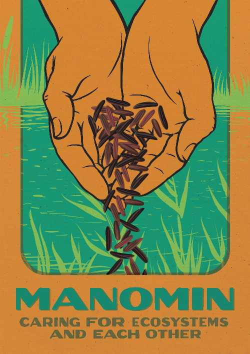 Manomin: Caring for Ecosystems and Each Other - Brittany Luby (University of Manitoba Press)  9781772840902