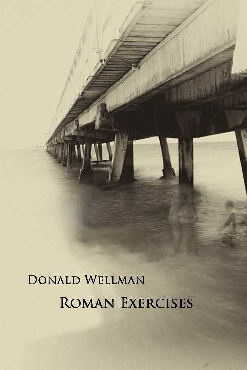  Roman Exercises - Donald Wellman (Talisman House, Publishers)  9781584981176