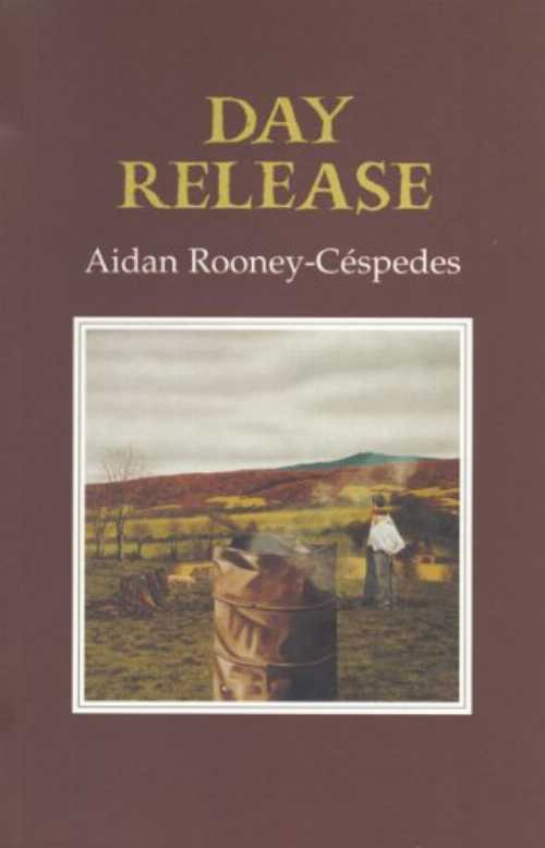  Day Release - Aidan Rooney-Cespedes (Gallery Books)  9781852352691