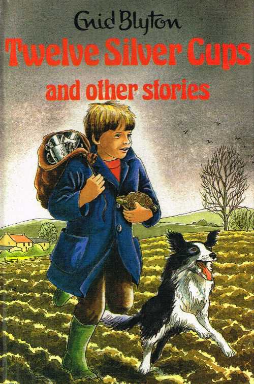  Twelve Silver Cups: and Other Stories (Enid Blyton's Popular Rewards Series I) - Enid Blyton (Award Publications Ltd)  9780861631421