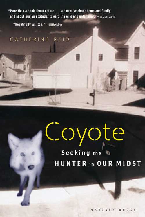 Rakuten - 【古本】 Coyote: Seeking the Hunter in Our Midst - Catherine Reid (Harper Paperbacks) 【紙書籍】 9780618619290