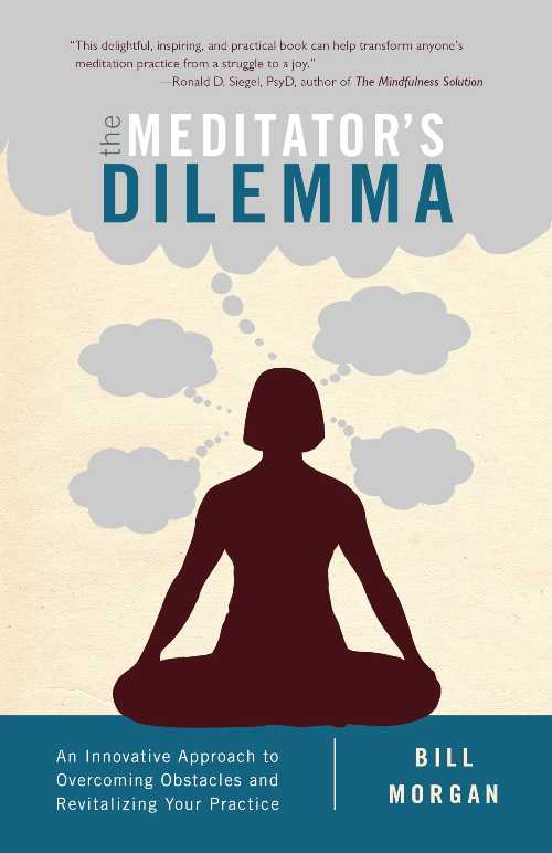  Meditator's Dilemma: An Innovative Approach to Overcoming Obstacles and Revitalizing Your Practice - Bill Morgan (Shambhala)  9781611802481
