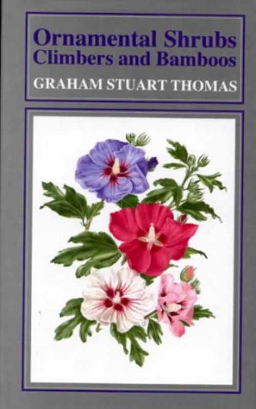【古本】 Ornamental Shrubs, Climbers, and Bamboos - Graham Stuart Thomas (Sagapress) 【紙書籍】 0881922501