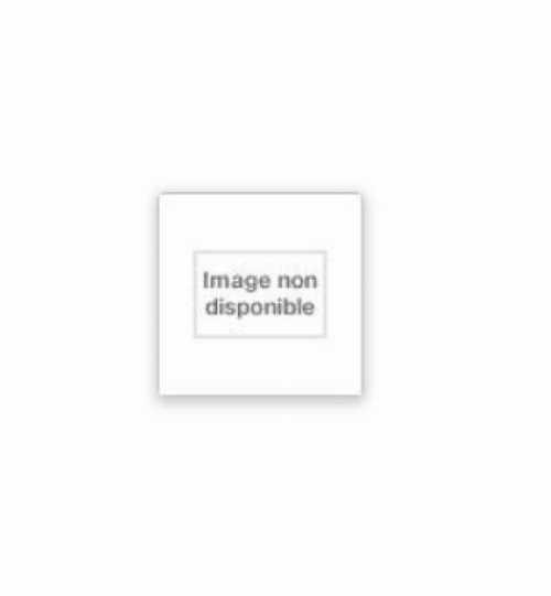 【古本】 Chevalier, La Femme Et Le Pretre: Le Mariage Dans La France Feodale - Georges Duby (Hachette littérature générale) 【紙書籍】 9782010078972