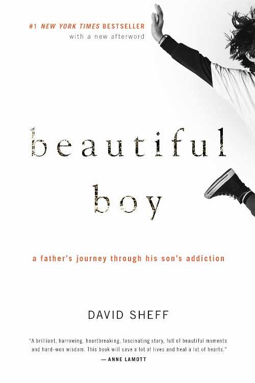 【古本】 Beautiful Boy: A Father's Journey Through His Son's Addiction - David Sheff (Mariner Books) 【紙書籍】 9780547203881