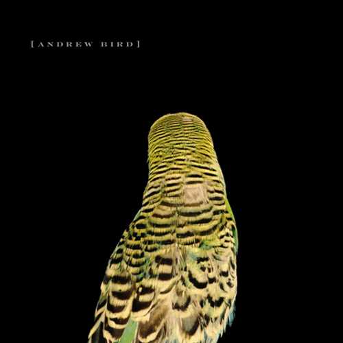 【中古】 Armchair Apocrypha - Andrew Bird (Fat Possum Records) 767981105826