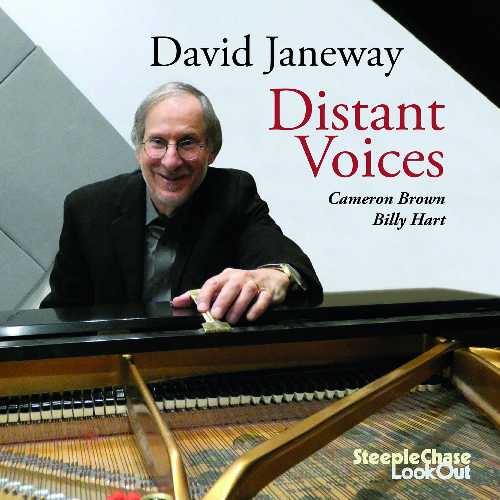  Distant Voices (UK) - David Janeway (Steeplechase-Lookout) 716043314522