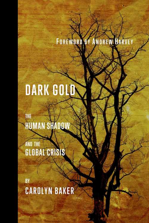 Rakuten - 【古本】 Dark Gold: The Human Shadow and the Global Crisis - Carolyn Baker (Next Revelation Pr) 【紙書籍】 9780996418454