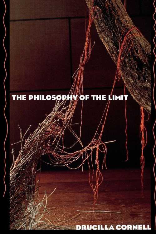  Philosophy of the Limit - Drucilla Cornell (Routledge)  9780415902397