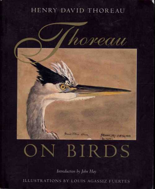 乐天商城 - 【古本】 Thoreau on Birds - Henry David Thoreau (Beacon Pr) 【紙書籍】 9780807085219