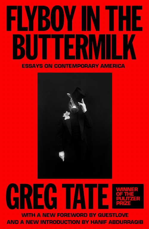 Flyboy in the Buttermilk - Greg; Questlove Abdurraqib, Hanif; Tate (AUWA)  9780374394622