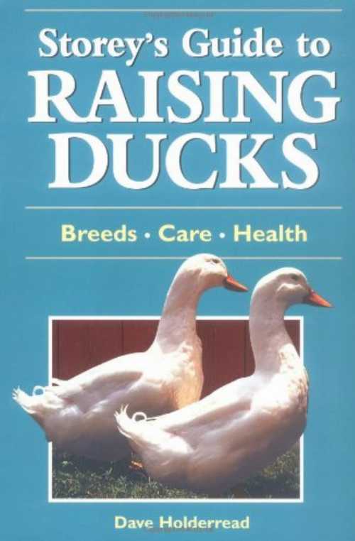 【古本】 Raising Ducks - Dave Holderread (Storey Publishing, LLC) 【紙書籍】 9781580172585