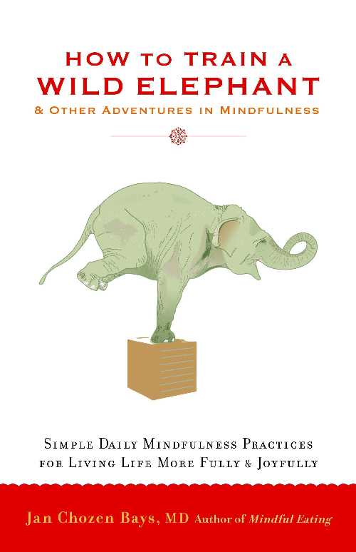 【古本】 How to Train a Wild Elephant: And Other Adventures in Mindfulness - Jan Chozen Bays (Shambhala) 【紙書籍】 9781590308172