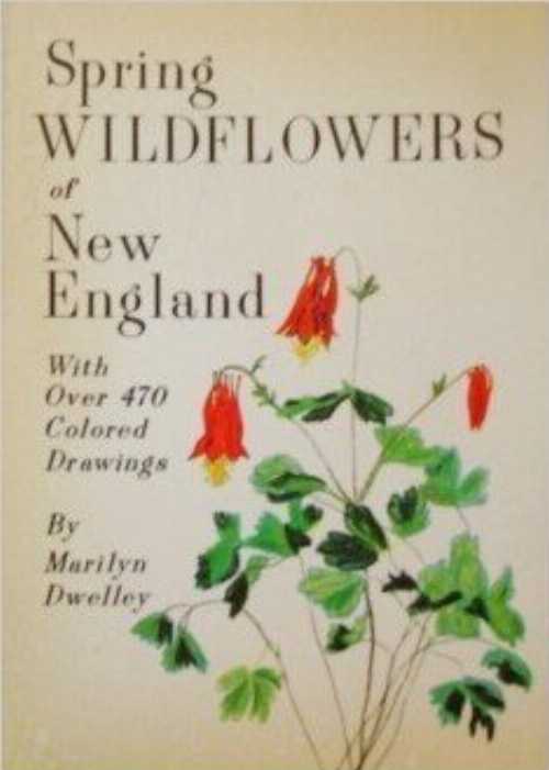  Spring Wildflowers of New Engl - Marilyn J Dwelley (Down East Books)  0892720085