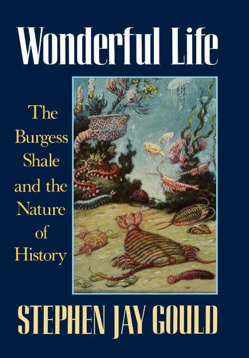【古本】 Wonderful Life: The Burgess Shale and the Nature of History - Stephen Jay Gould (W. W. Norton Co.) 【紙書籍】 9780393027051