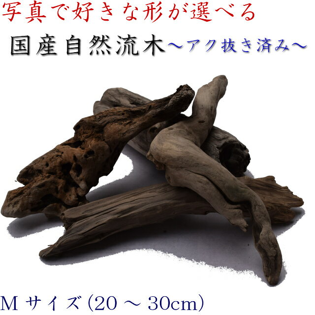 写真を見て形が選べる 送料無料 国産 天然流木 Diy インテリアに最適 水槽 爬虫類 流木 安 Mサイズ 組合せ インテリア 置物 棒 オブジェ 穴あき 天然 株 塊 ディスプレイ 選べる 自然 直線 アクアリウム 店舗 什器 送料込み 工作 アク抜き済 乾燥 大 写真を見て形が選べる 送料無料 国産 天然流木 Diy インテリアに最適 水槽 爬虫類 流木 安 Mサイズ 組合せ インテリア 置物 棒 オブジェ 穴あき 天然 株 塊 ディスプレイ 選べる 自然 直線 アクアリウム 店舗 什器 送料込み 工作 アク抜き済 乾燥 大