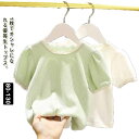 80 カジュアル 送料無料 シンプル 夏 半袖Tシャツ 韓国風 子供服 可愛い フリル裾 ガールズ 女の子 キッズ 送料無料 90 100 110 120 130 柔らかい 肌に優しい
