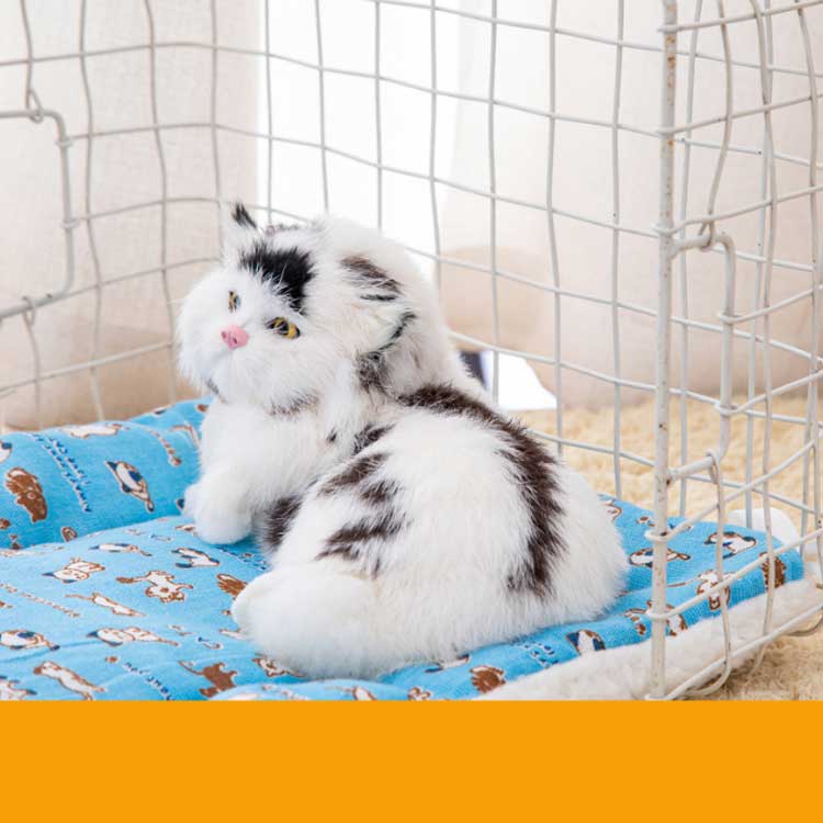 �ե����९�å���� ǭ ��˥С����� ���å���� ǭ�ѥ����� ����å� ������ �ޥå� �� �Ȥ��� �����륷������ ǭ�ѥ����� ���� ������ �ڥåȥ٥å� ���å���� �Ȥ��� ���ä��� �դ�դ� ������ ������ �ڥåȥ٥å� ǭ