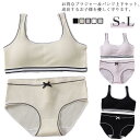 高校生 スポーツブラ ショーツセット ジュニアブラジャー シンプル 上下セット 学生 スポーツブラ リブ ノンワイヤーブラ ジュニア向け フィットネス ヨガ 運...