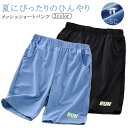 ハーフパンツ メッシュパンツ キッズ 接触冷感 半ズボン 男の子 女の子 ショートパンツ 涼しい 冷感 アイスシルクパンツ 子供服 ボトムス 短パン 半パン スポーツ 学校 幼稚園 小学生 中学生 ジュニア 運動着 春 夏 秋 部屋着 スポーツウエア ウエストゴム 送料無料