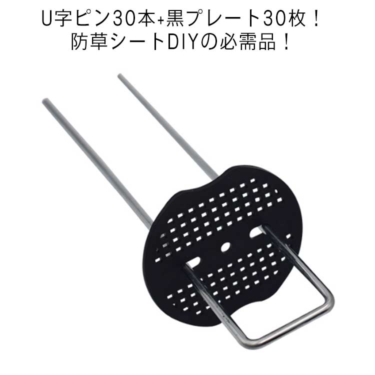 �ޤ��� 30�ܥ��å� 15cm �������ԥ� ���𥷡��� �إ��ԥ� U�ԥ� �����ԥ� U�ԥ󹺡ܹ����դ� U���� ���𥷡��� ������ ���𥷡��ȥԥ� ���ץ졼��...